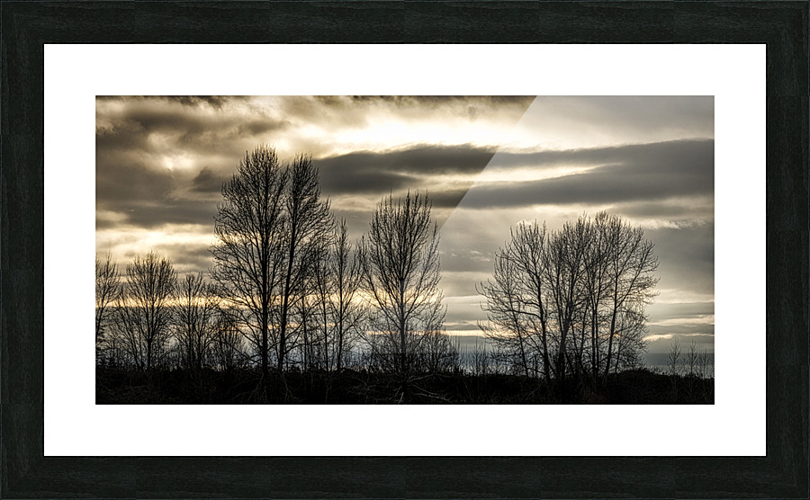 FS230103 047 Picture Frame print