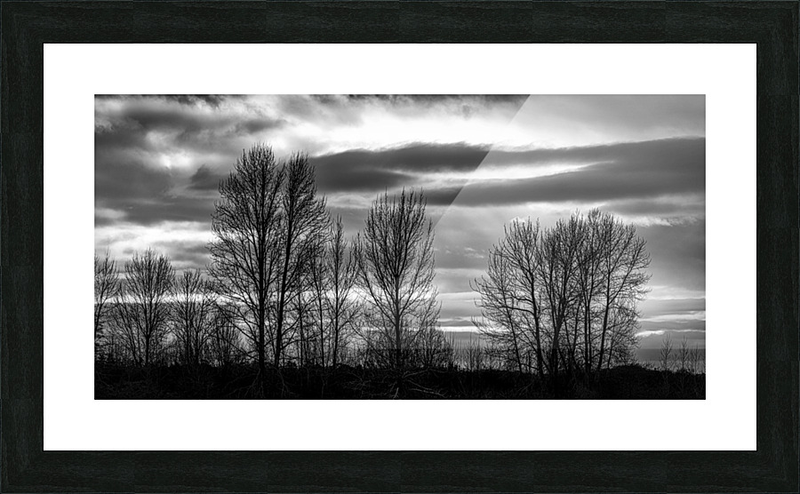 FS230103 BW Picture Frame print