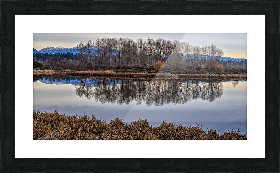 WINTER SCENERY Picture Frame print