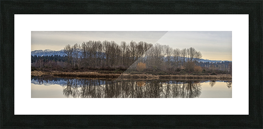 FS230104 PANO Picture Frame print