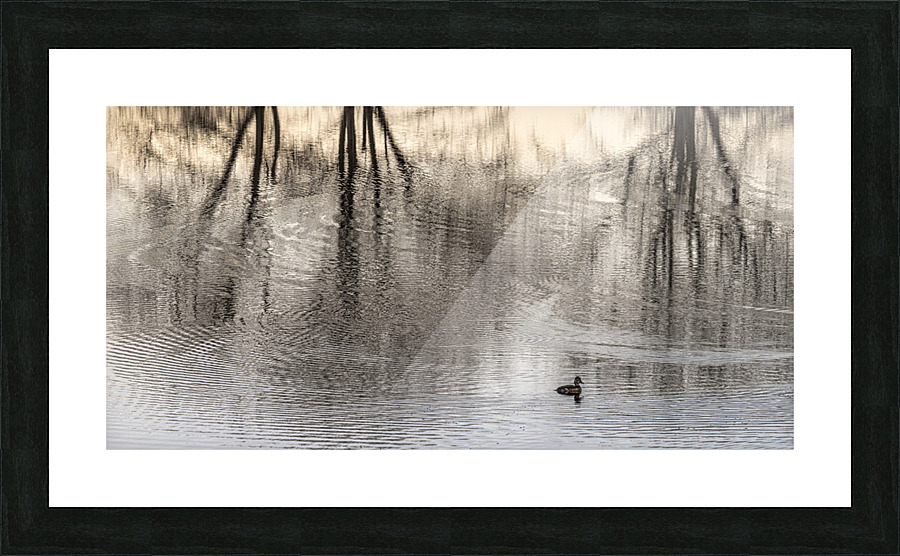 FS230104 03 Picture Frame print