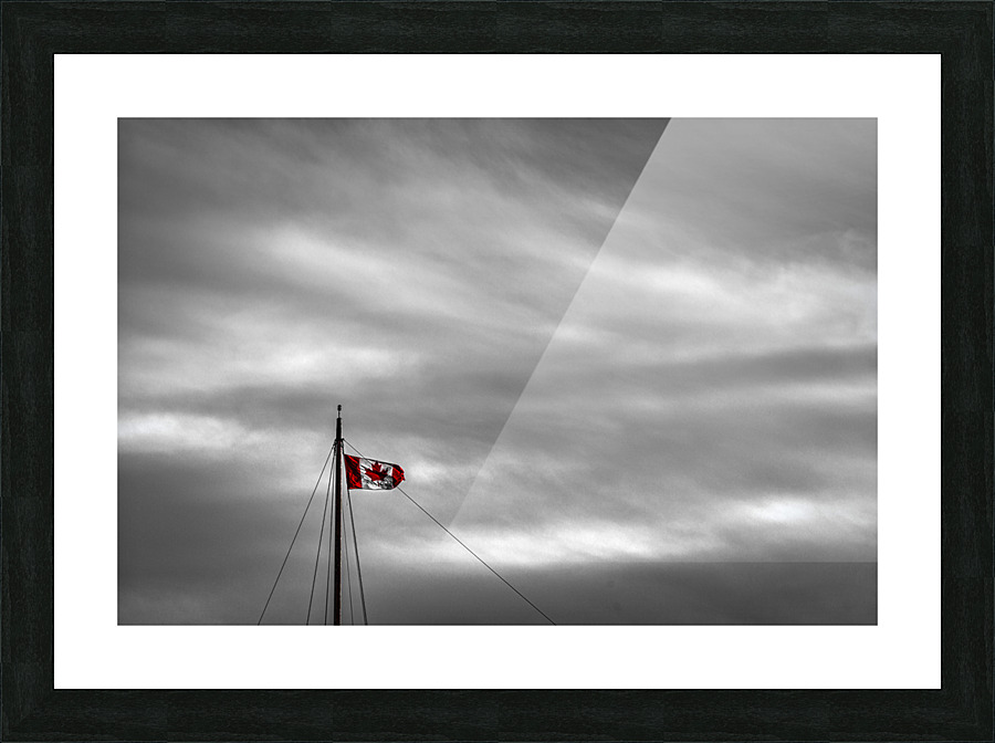 FS230111 02 Picture Frame print