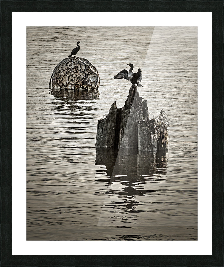 FS230114 05 Picture Frame print