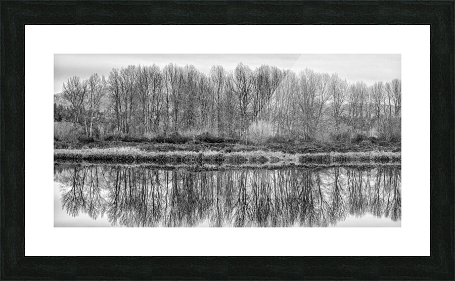 FS230104BW Picture Frame print