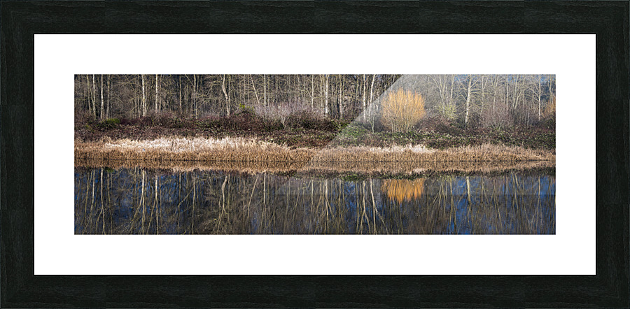 FS230119 044 Picture Frame print
