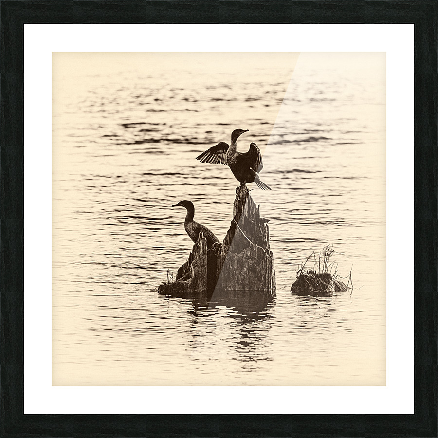 FS230120S Picture Frame print