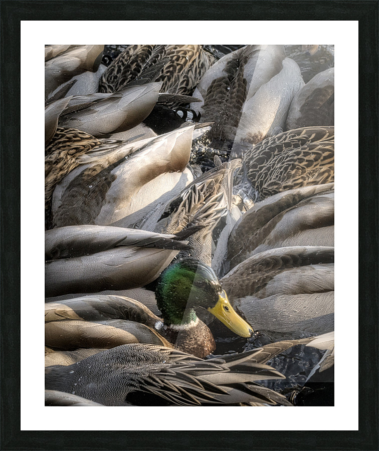 FS230128 061 Picture Frame print