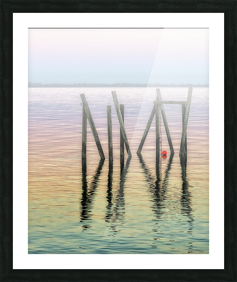 FS170730FH Picture Frame print
