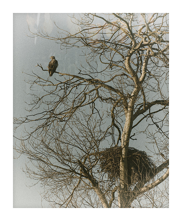 FS230129 05 Picture Frame print