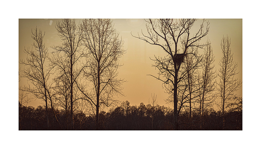 FS230129 Eagles Nest 2 Picture Frame print
