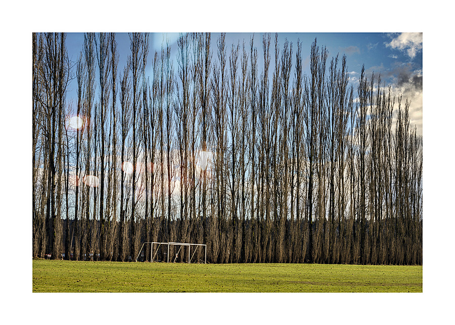 FS230128 02 Picture Frame print