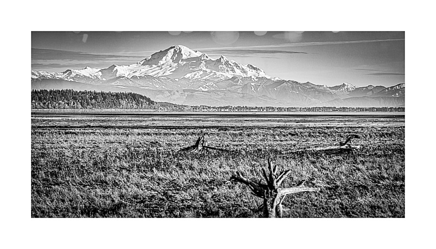 Mount Baker b w Picture Frame print