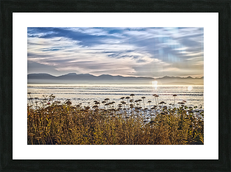 FS220925 022 Picture Frame print