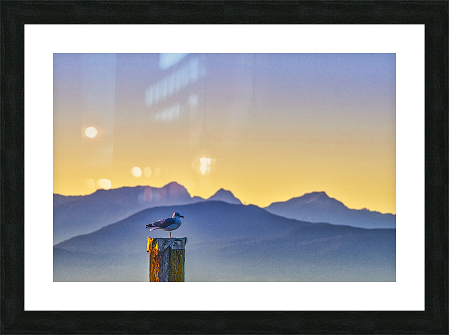 FS220925 03 Picture Frame print