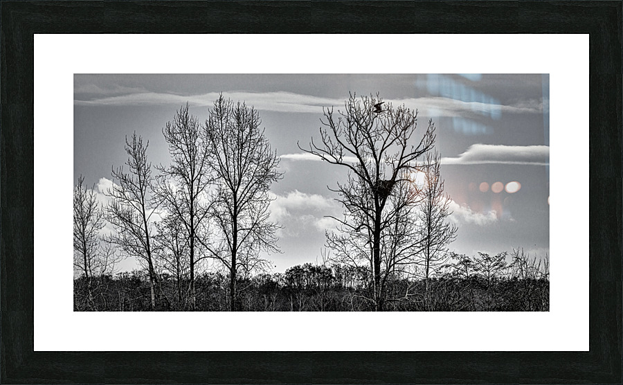 FS230208BW Picture Frame print