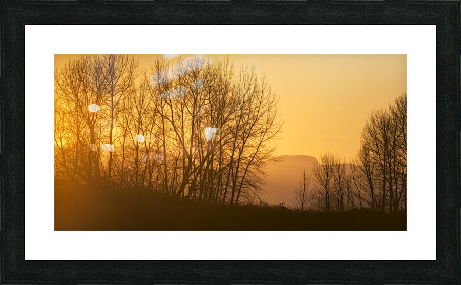 FS230129 Picture Frame print