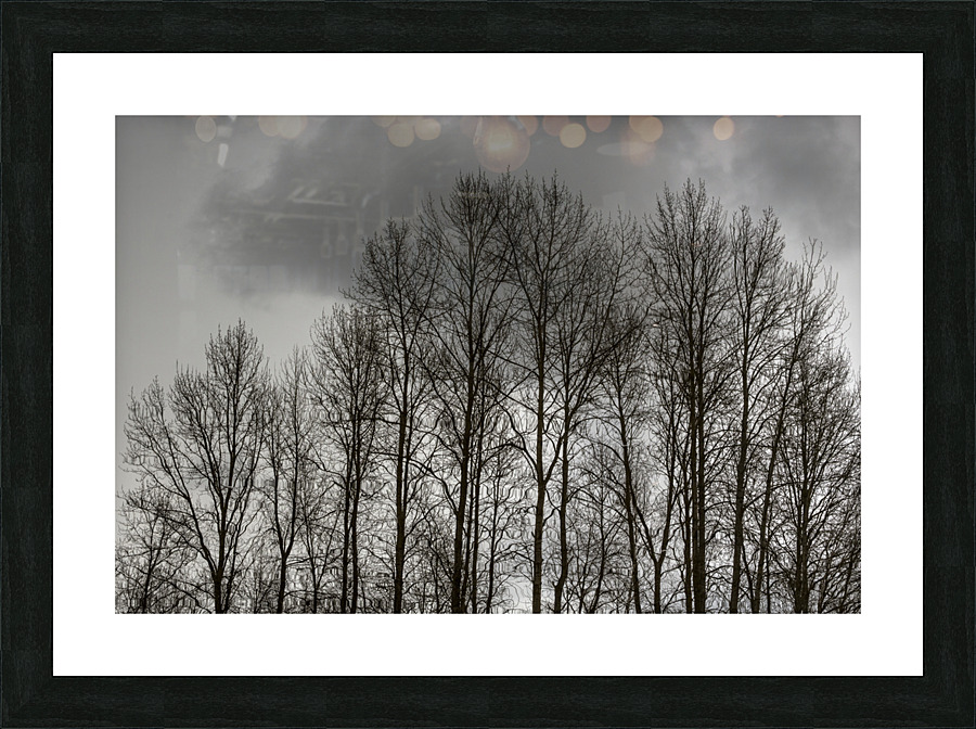 FS230215 Picture Frame print