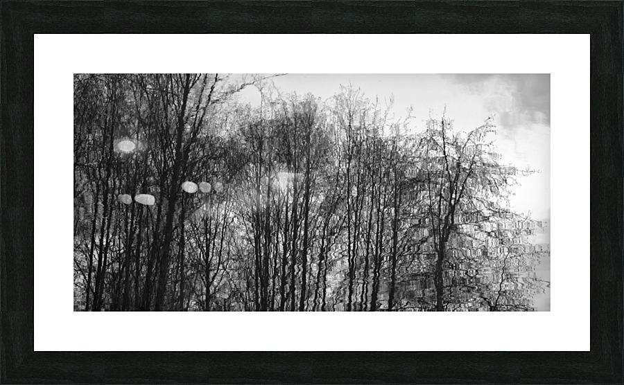 FS230215 215 Picture Frame print
