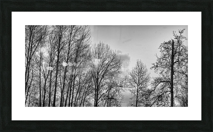 FS230215 05 Picture Frame print