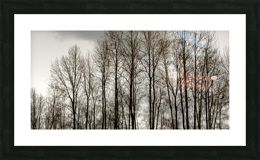 FS230215 06 Picture Frame print