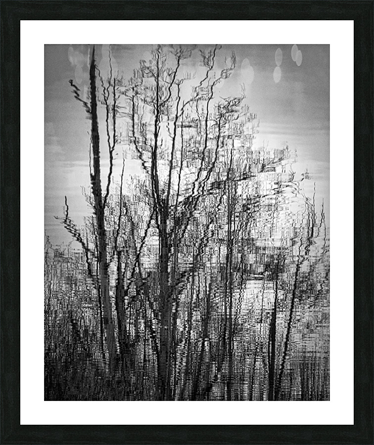 FS230215BW Picture Frame print