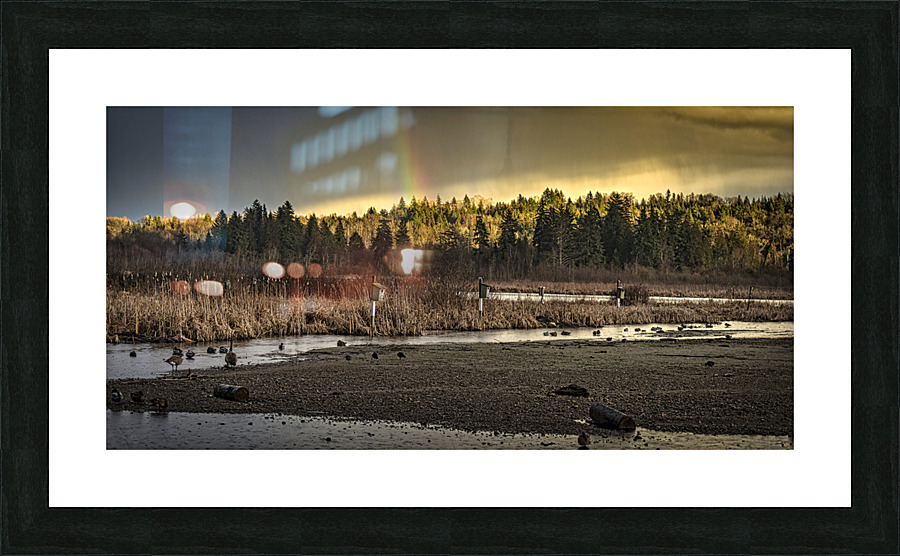 FS230221 388 Picture Frame print
