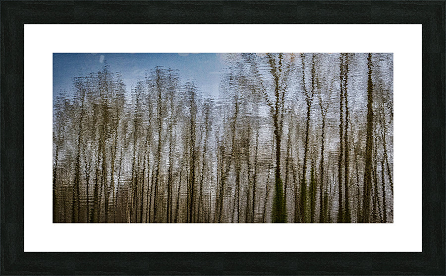 TREE REFLECTION ON WATER 2023 Picture Frame print