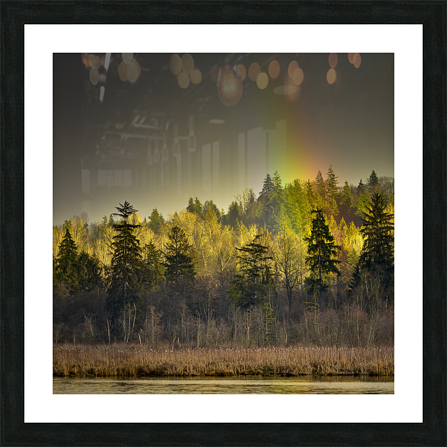 FS230221S Picture Frame print
