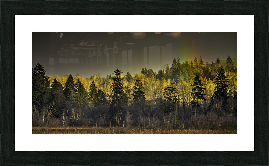FS230221FF Picture Frame print