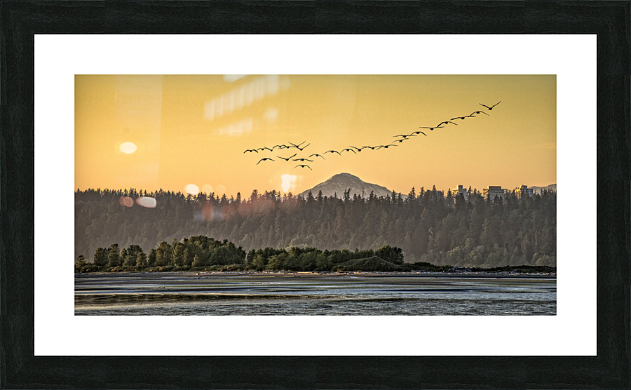 FS180522DW Picture Frame print