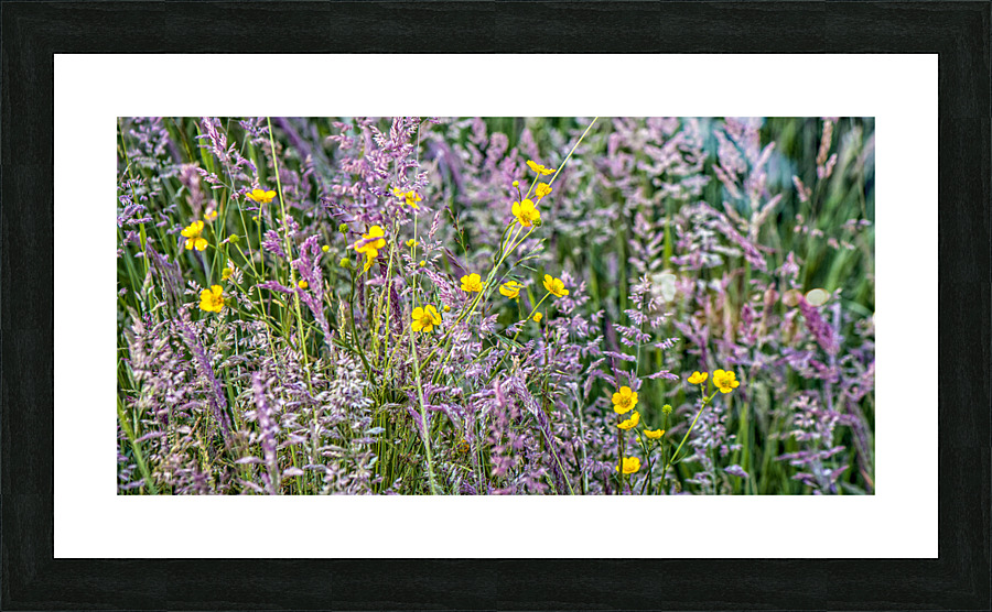 FS180604 Picture Frame print