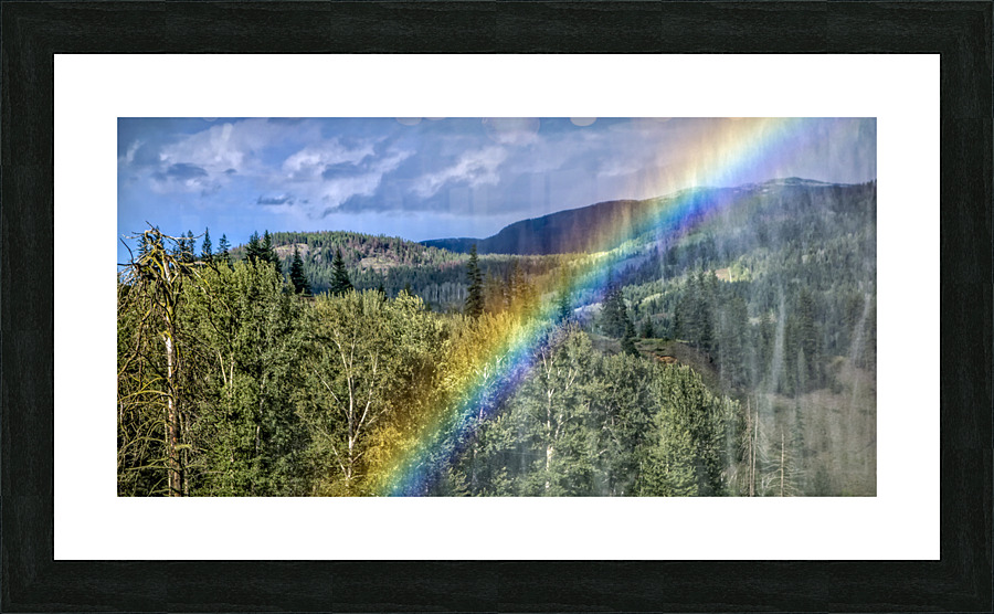FS180626c2 Picture Frame print