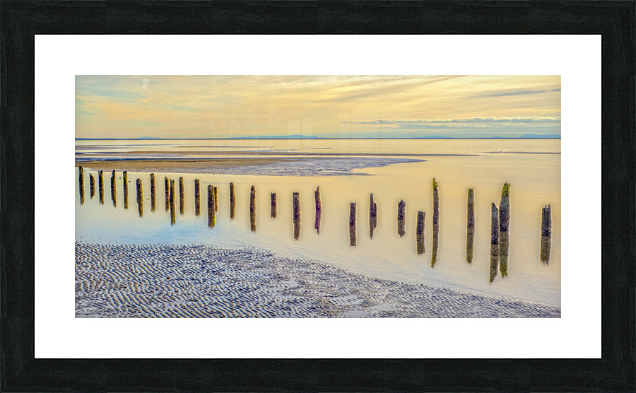 Shoreline 2018 Picture Frame print