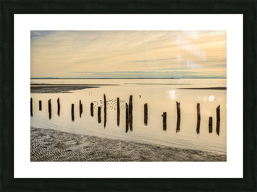 IONA BEACH 2018 Picture Frame print