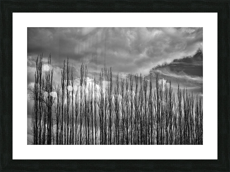 FS230307BW2 Picture Frame print