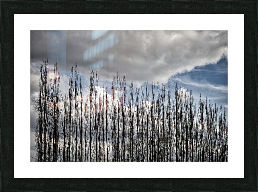 FS230307 01 Picture Frame print