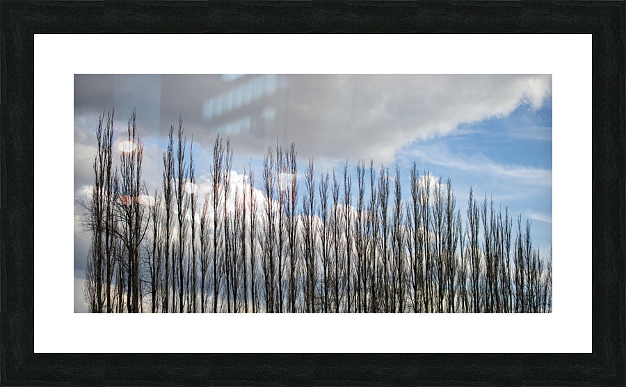 FS230307WW Picture Frame print