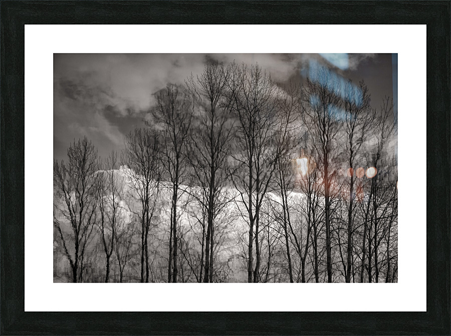 FS230307 SS Picture Frame print