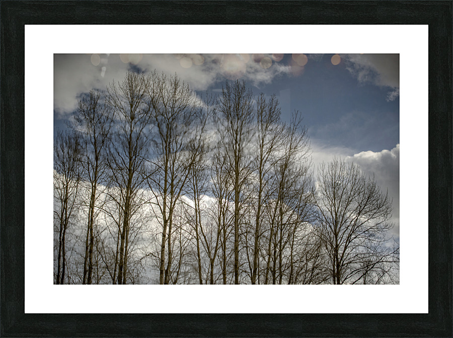 FS230307 03 Picture Frame print