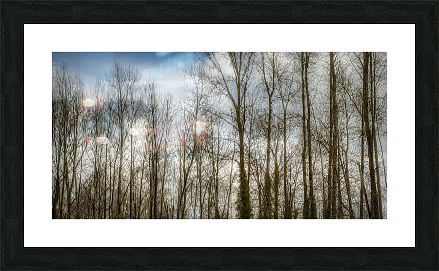 FS230307 057 Picture Frame print