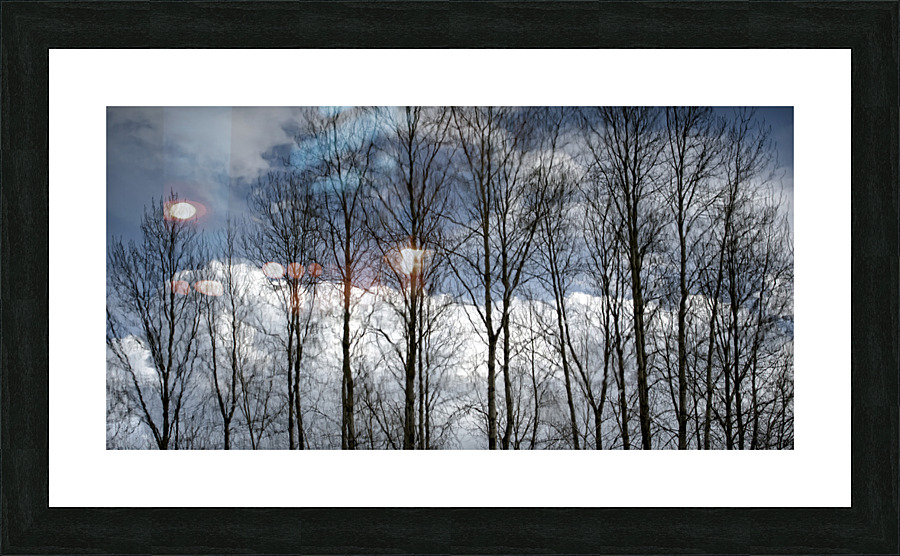 FS230307 06 Picture Frame print