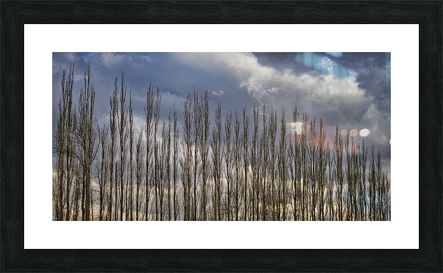 FS230307DW4 Picture Frame print