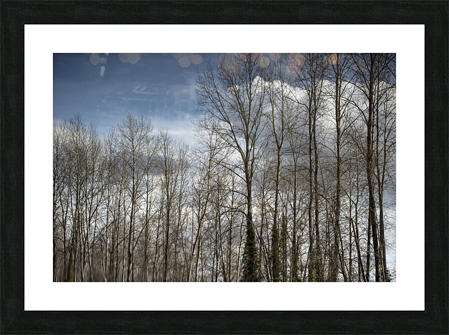 FS230307 082 Picture Frame print