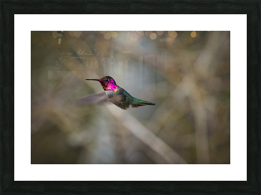 20230317 215 Picture Frame print