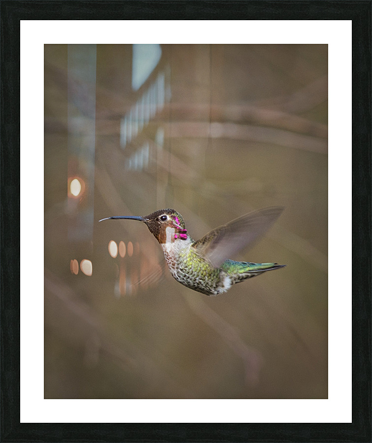FS230317 03 Picture Frame print