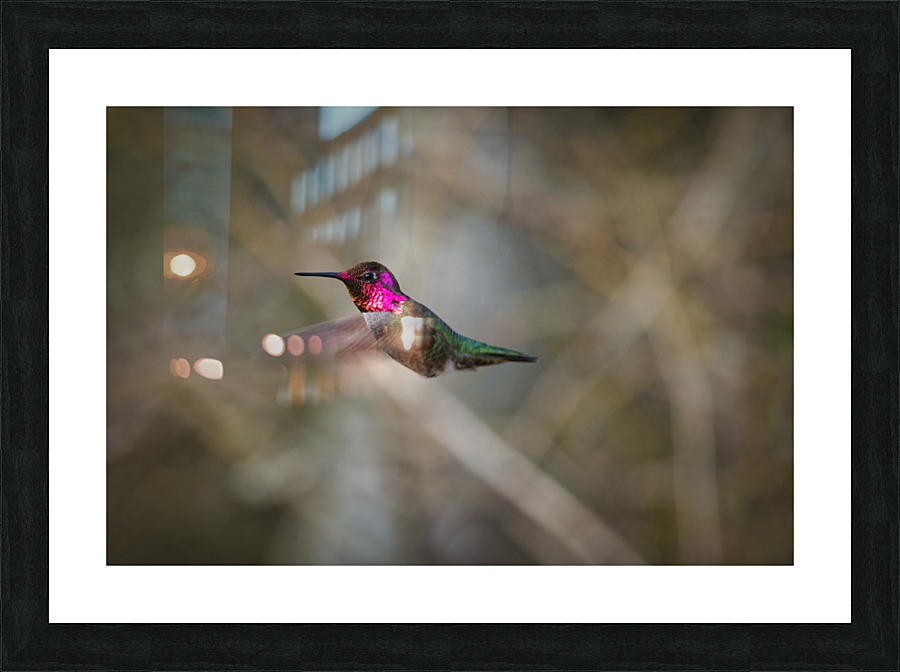20230317 07 Picture Frame print