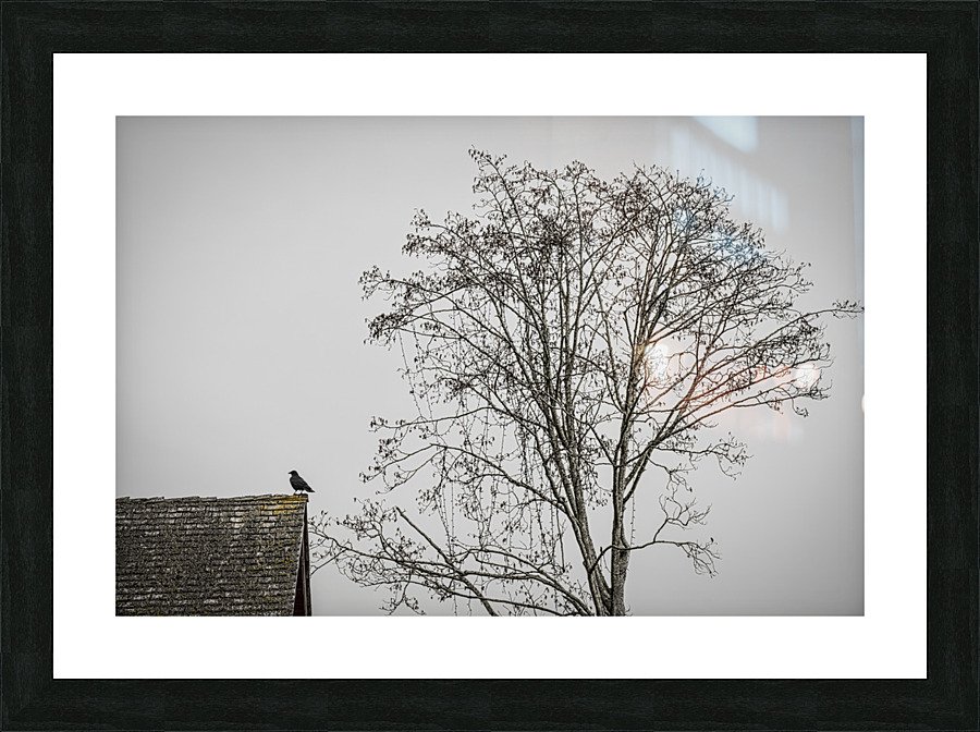 20230317 Picture Frame print
