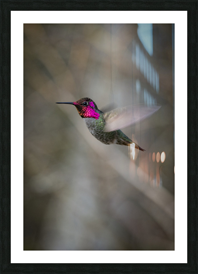 20230317 216 Picture Frame print