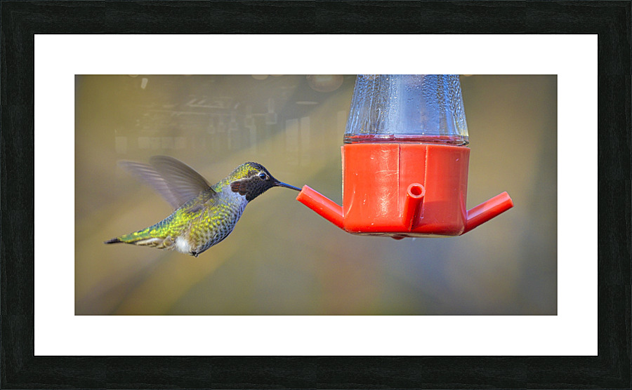 20230318 273  Picture Frame print