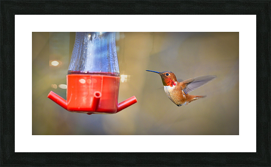 20230318 212  Picture Frame print